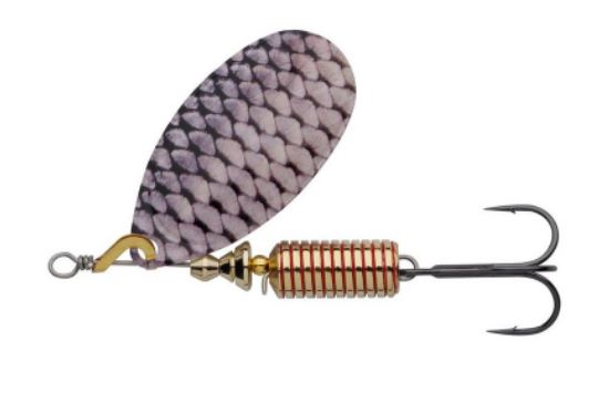 ROACH