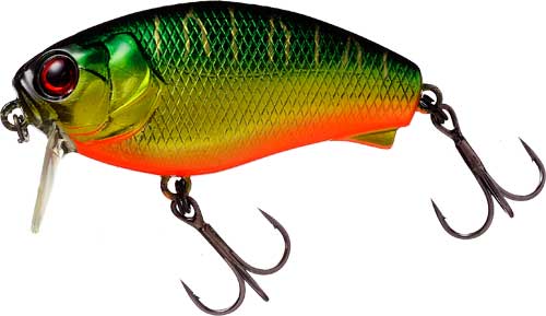 HL Tiger
