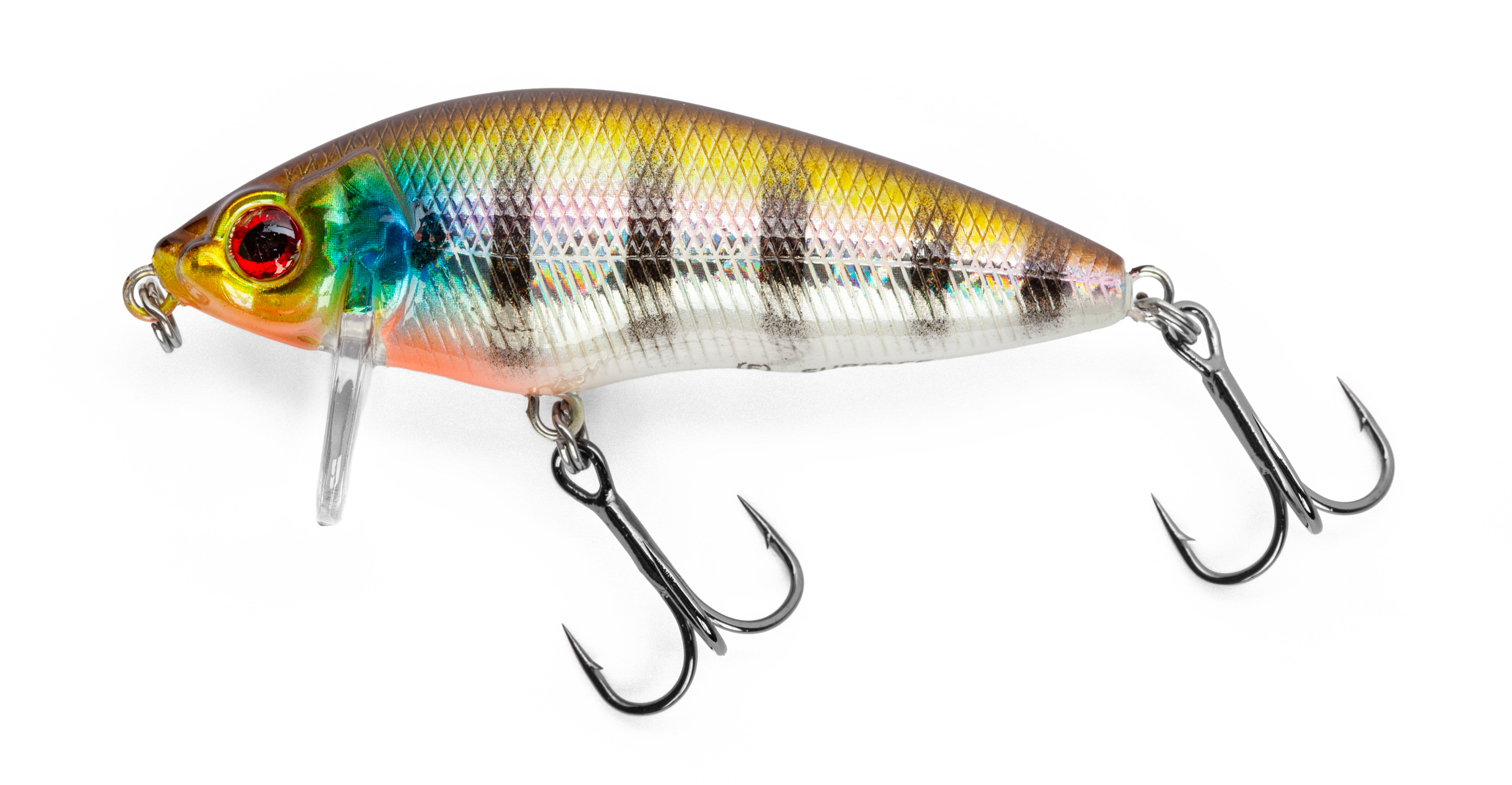 Golden Perch