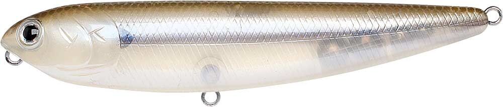 STRIPED SHAD
