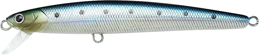 METALLIC SARDINE