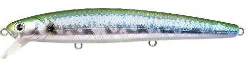 MS GREEN HERRING