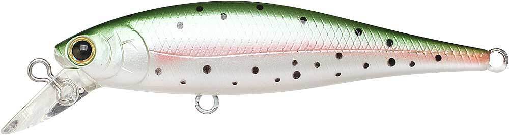 RAINBOW TROUT
