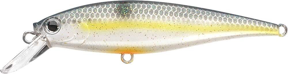 SEXY CHARTREUSE SHAD