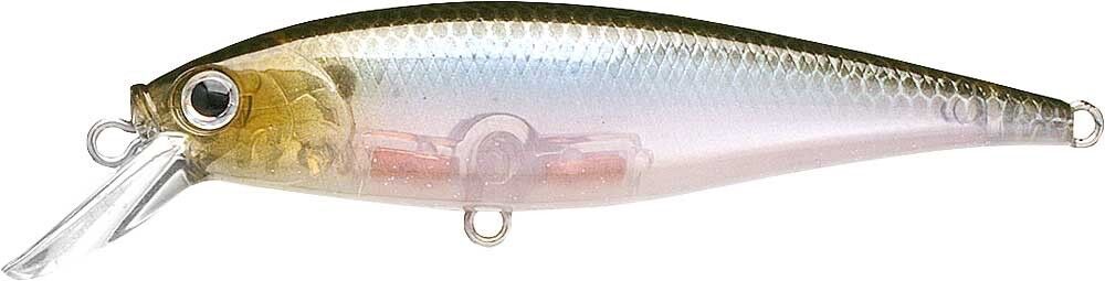 GHOST MINNOW