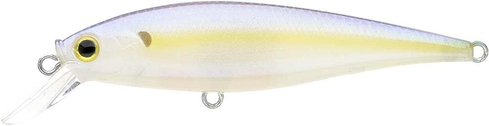 CHARTREUSE SHAD