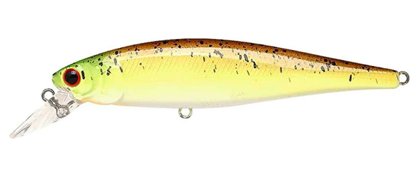 PINEAPPLE SHAD