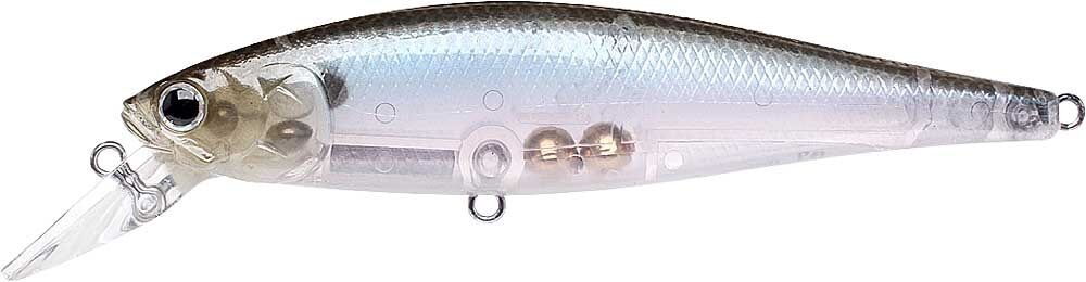 GHOST MINNOW