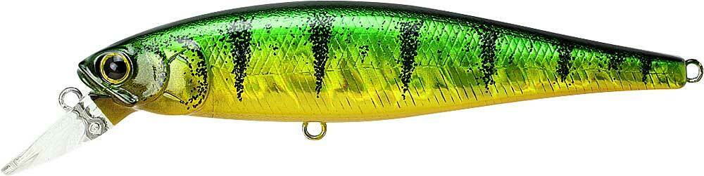 AURORA GREEN PERCH