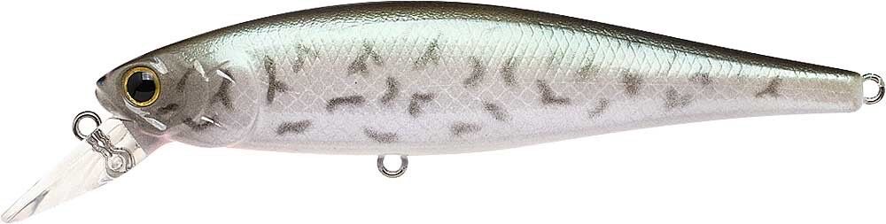 BLACK CRAPPIE