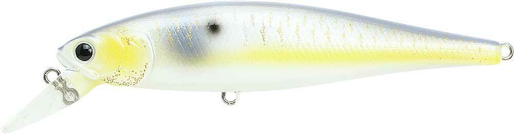 GOLDTHREADFIN SHAD