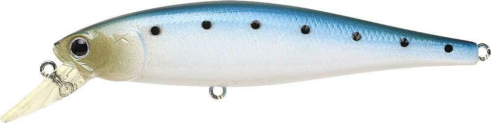 SUPER GLOW SARDINE