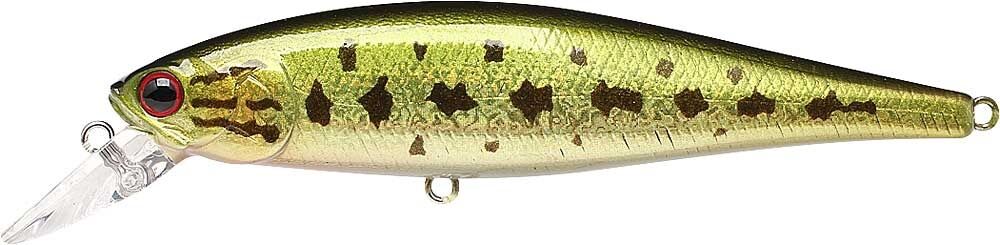NORTHERN LARGE MOUTH BASS