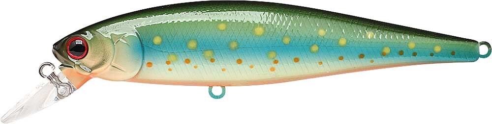 BROOK TROUT - KAWA MASU