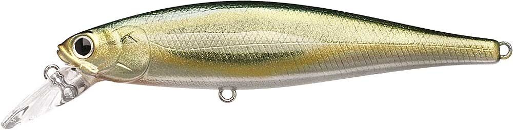 AURORA DACE SHAD - AURORA UGUI