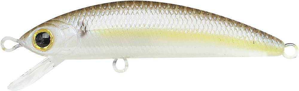 CHARTREUSE SHAD
