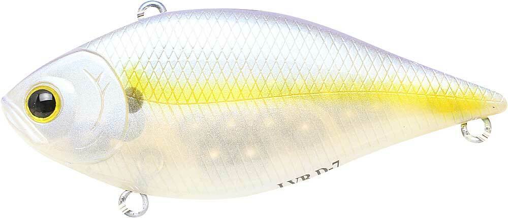 CHARTREUSE SHAD