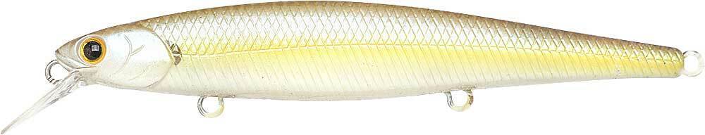 CHARTREUSE SHAD