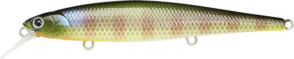 BE GILL
