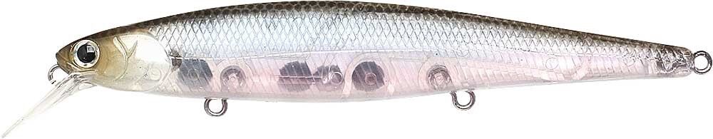 GHOST MINNOW