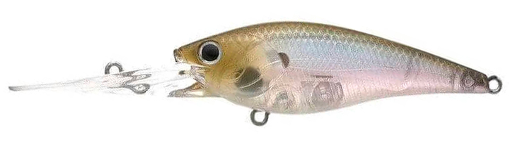 GHOST MINNOW