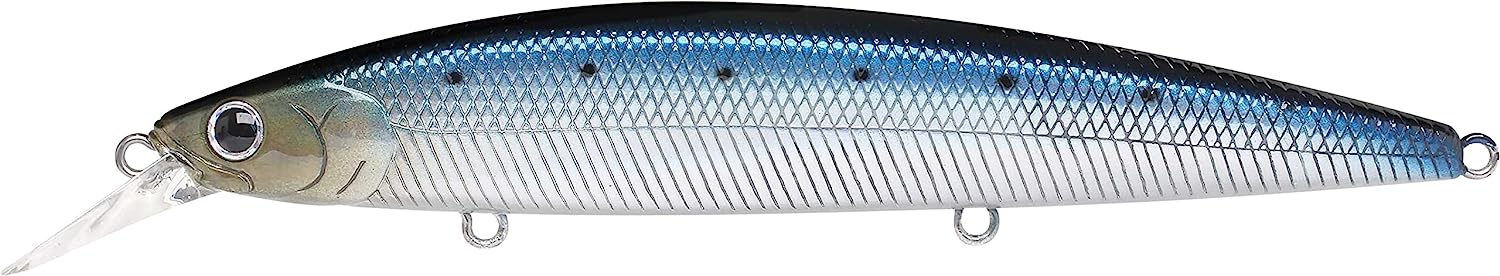METALLIC SARDINE