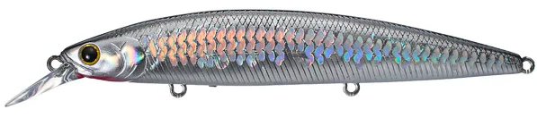 MS ANCHOVY