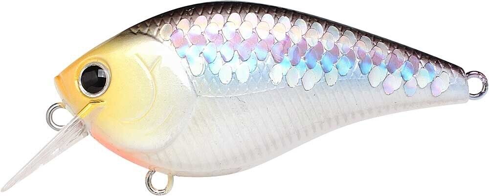 MS IMPULSE SHAD