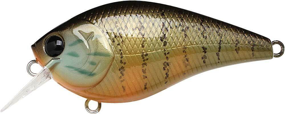 GOLD PUMPKIN SEED