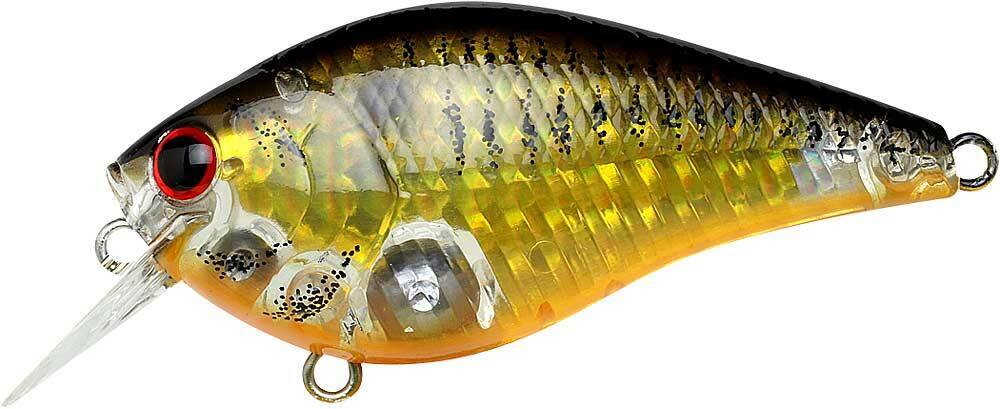 CF LENS GHOST GOLDEN BLACK SHAD