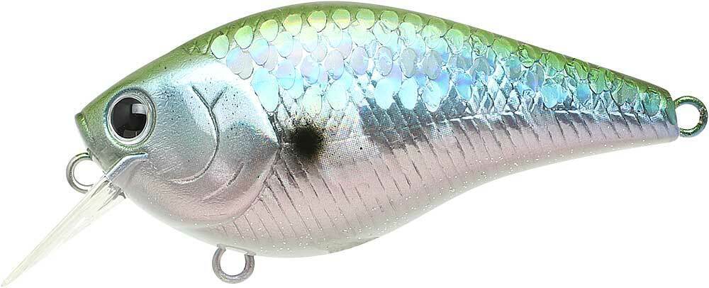 MS GREEN HERRING