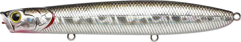 BP GOLDEN SHINER