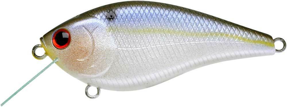 PEARL THREADFIN SHAD