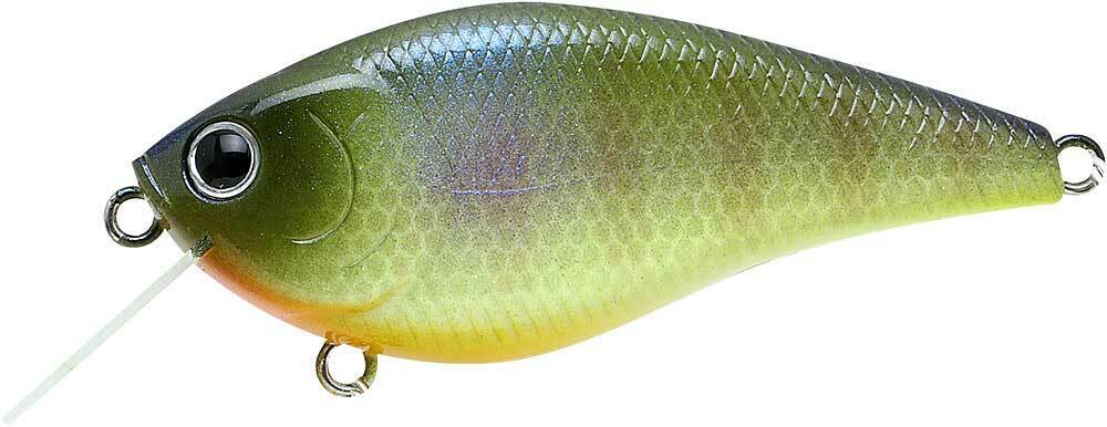 BE GILL
