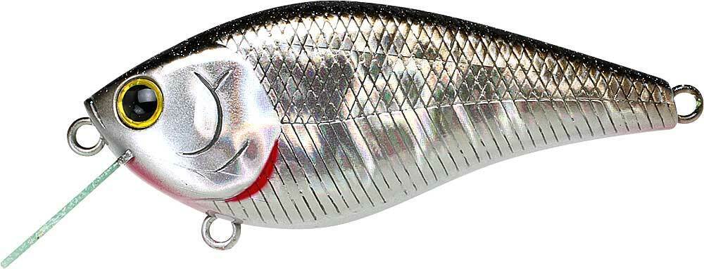 BP GOLDEN SHINER