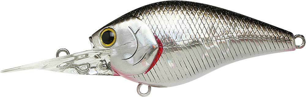 BP GOLDEN SHINER