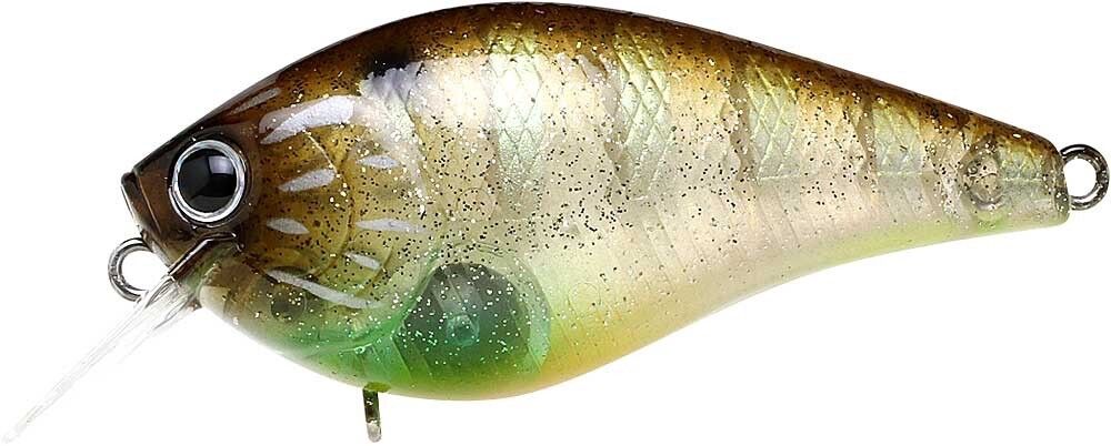FLAKE FLAKE STRIPED GILL