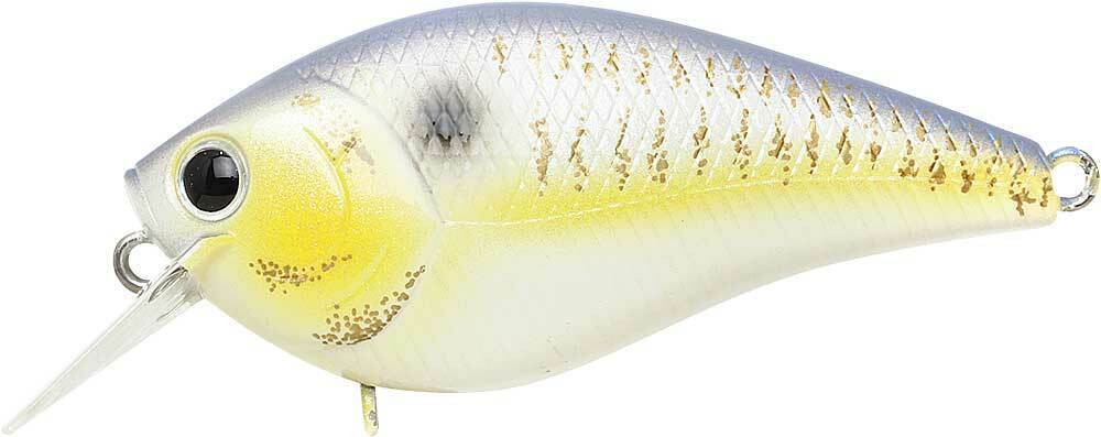 GOLD THREADFIN SHAD