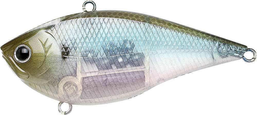 GHOST MINNOW