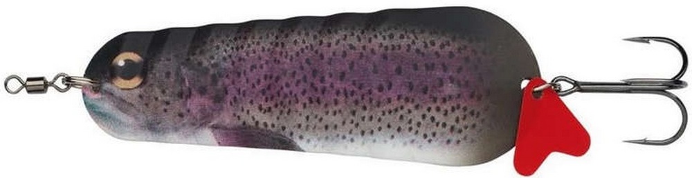 Rainbow Trout