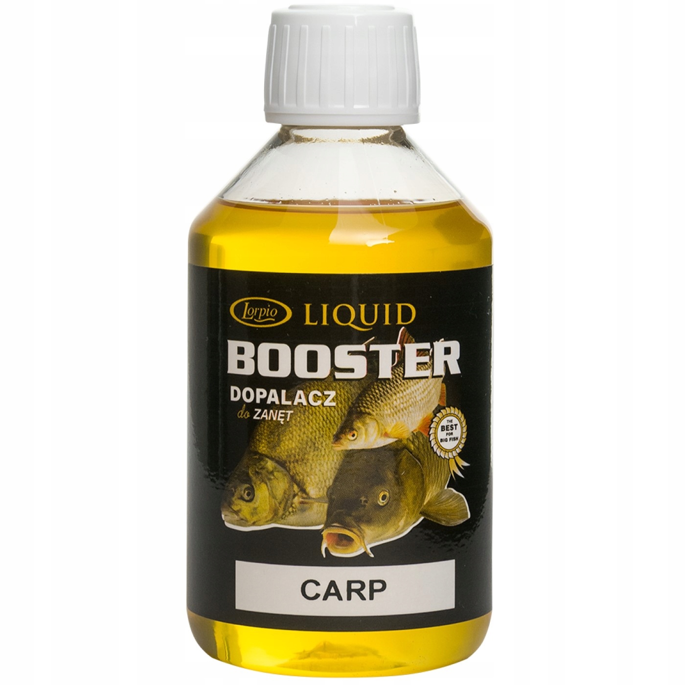 Carp