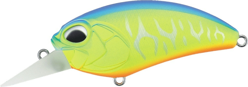ACC3049