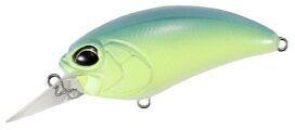 ACC3126