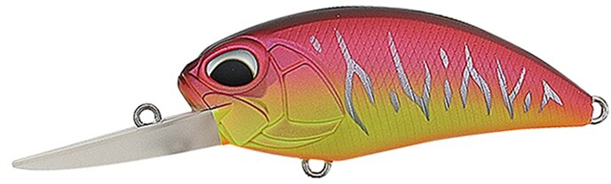 ACC3079