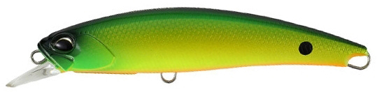 ACC3151