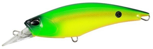 ACC3151