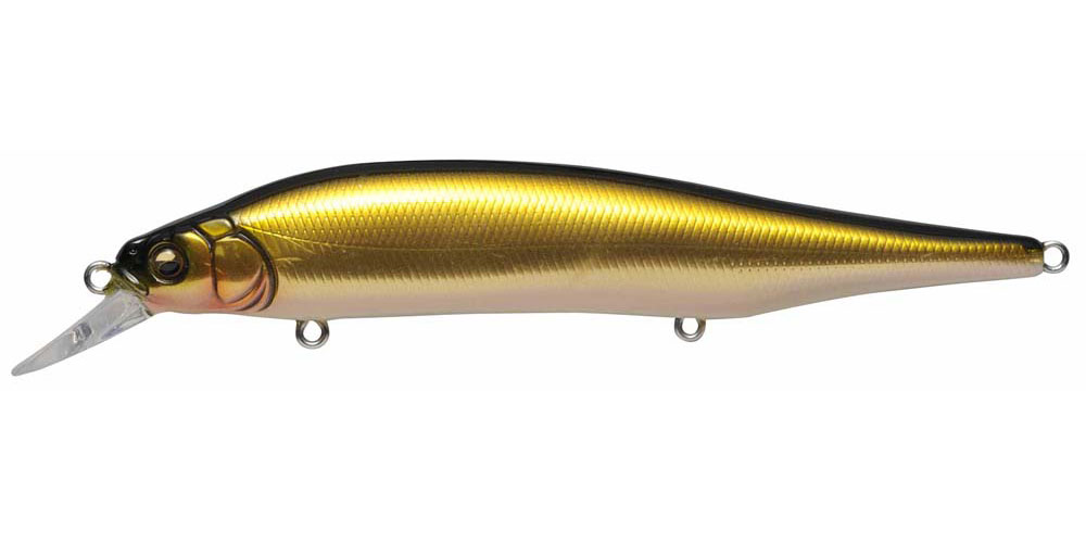 WAKIN GOLDEN SHINER