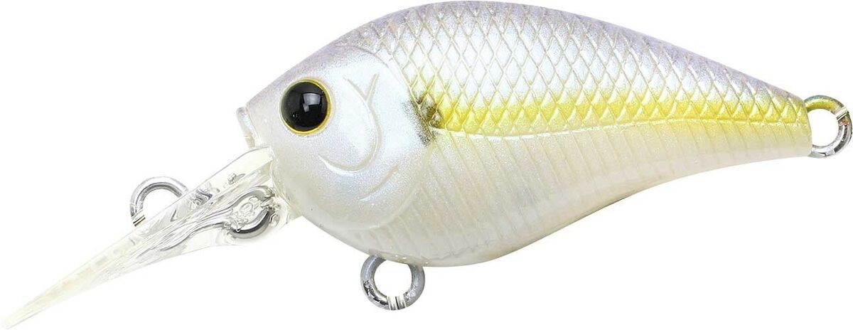 CHARTREUSE SHAD