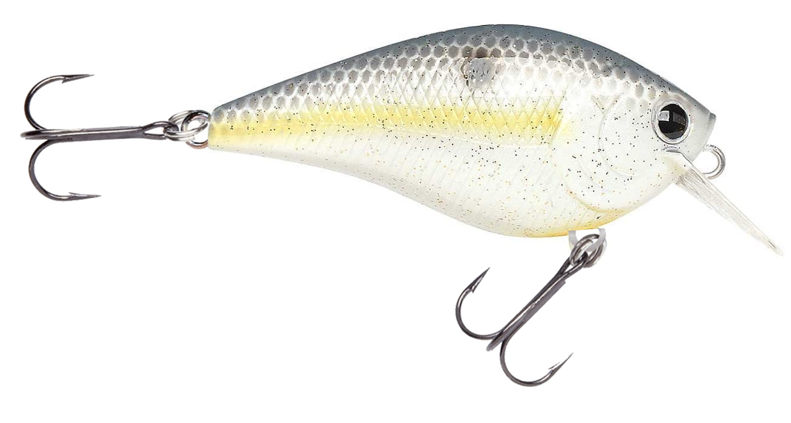 CHARTREUSE SHAD