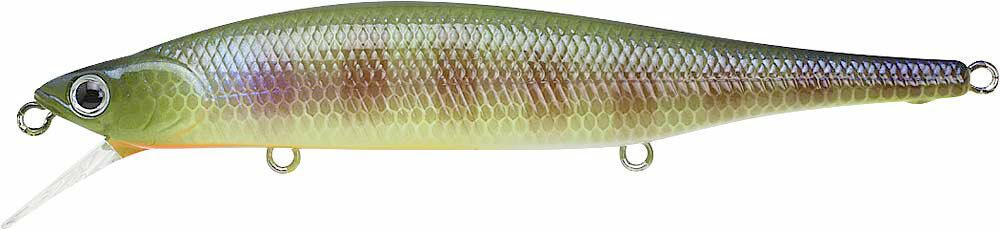 BE GILL